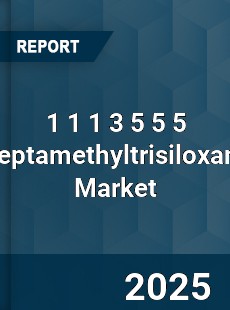 1 1 1 3 5 5 5 Heptamethyltrisiloxane Market