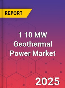 Global 1 10 MW Geothermal Power Market