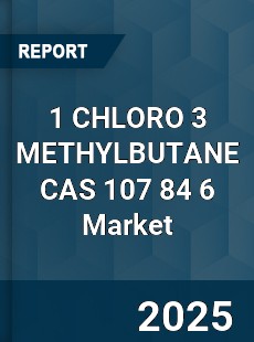 Global 1 CHLORO 3 METHYLBUTANE CAS 107 84 6 Industry