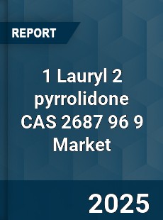 Global 1 Lauryl 2 pyrrolidone CAS 2687 96 9 Industry