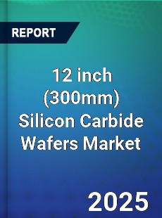 12 inch Silicon Carbide Wafers Market