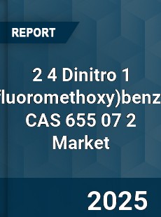 Global 2 4 Dinitro 1 benzene CAS 655 07 2 Industry