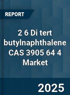Global 2 6 Di tert butylnaphthalene CAS 3905 64 4 Industry
