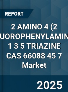 Global 2 AMINO 4 1 3 5 TRIAZINE CAS 66088 45 7 Industry