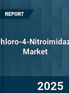 Global 2 Chloro 4 Nitroimidazole Industry