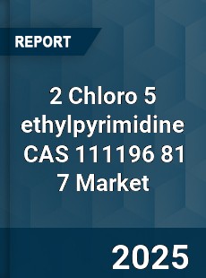 Global 2 Chloro 5 ethylpyrimidine CAS 111196 81 7 Industry