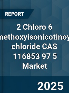 Global 2 Chloro 6 methoxyisonicotinoyl chloride CAS 116853 97 5 Industry