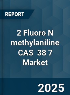 Global 2 Fluoro N methylaniline CAS 38 7 Industry