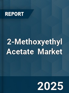 Global 2 Methoxyethyl Acetate Industry