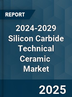 Global Silicon Carbide Technical Ceramic Industry
