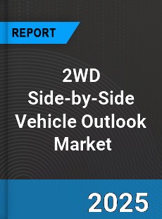 Global 2WD Side by Side Vehicle Outlook
