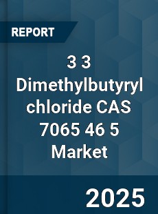 Global 3 3 Dimethylbutyryl chloride CAS 7065 46 5 Industry