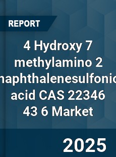 Global 4 Hydroxy 7 methylamino 2 naphthalenesulfonic acid CAS 22346 43 6 Industry