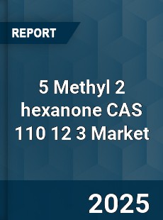 Global 5 Methyl 2 hexanone CAS 110 12 3 Industry