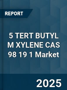 Global 5 TERT BUTYL M XYLENE CAS 98 19 1 Industry