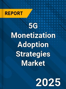 5G Monetization Adoption Strategies Global and China Top Players Market