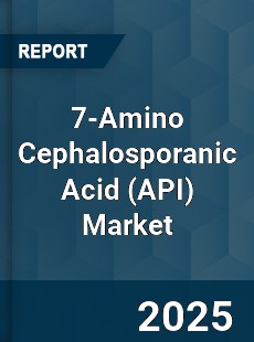 7 Amino Cephalosporanic Acid Market