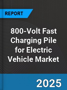 800 Volt Fast Charging Pile for Electric Vehicle Global and China Top Players Market