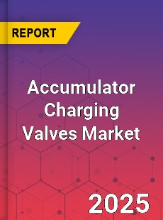 Global Accumulator Charging Valves Industry