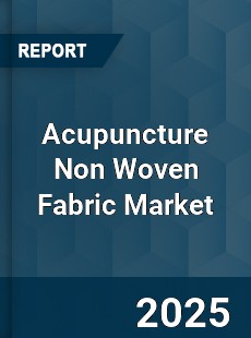 Global Acupuncture Non Woven Fabric Market