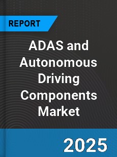 Global ADAS and Autonomous Driving Components Market