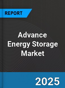 Advance Energy Storage Global Market