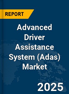 Global Advanced Driver Assistance System Market