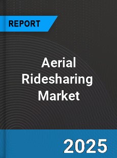 Global Aerial Ridesharing Professional Survey Report