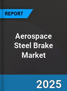 Global Aerospace Steel Brake Professional Survey Report