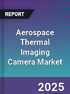 Global Aerospace Thermal Imaging Camera Market