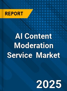 AI Content Moderation Service Global and China Top Players Market