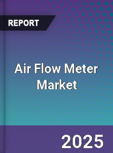 Global Air Flow Meter Market