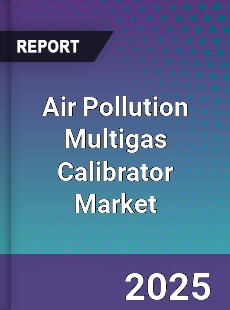 Air Pollution Multigas Calibrator Market