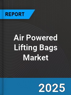 Global Air Powered Lifting Bags Industry