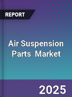 Global Air Suspension Parts Industry