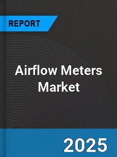 Global Airflow Meters Industry