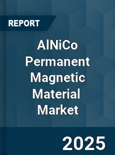 Global AlNiCo Permanent Magnetic Material Market