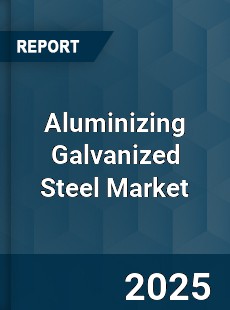 Global Aluminizing Galvanized Steel Industry