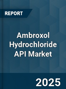 Ambroxol Hydrochloride API Market