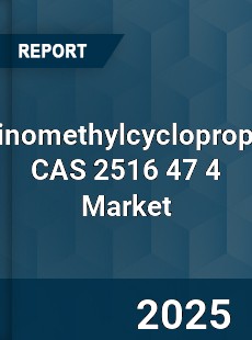 Global Aminomethylcyclopropane CAS 2516 47 4 Industry