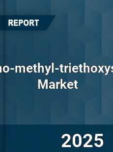 Global Anilino methyl triethoxysilane Industry