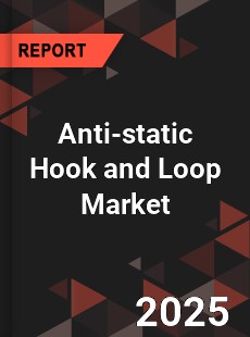 Anti static Hook and Loop Global and China Top Players Market