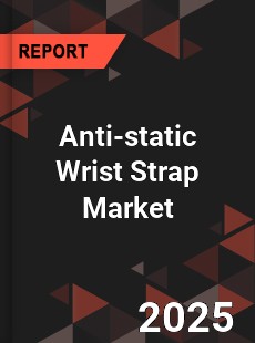 Anti static Wrist Strap Global and China Top Players Market