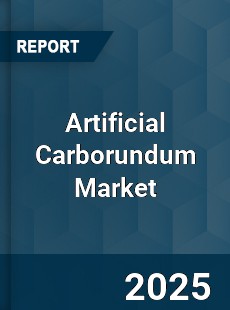 Global Artificial Carborundum Market