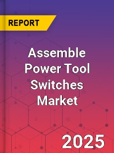 Assemble Power Tool Switches Market