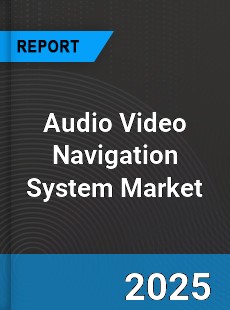 Audio Video Navigation System Market