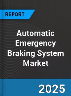 Global Automatic Emergency Braking System Market
