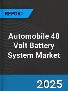 Global Automobile 48 Volt Battery System Market