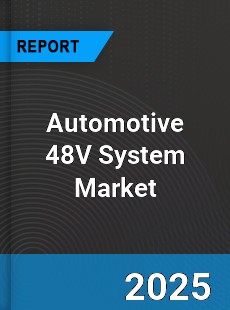 Worldwide Automotive 48V System Market