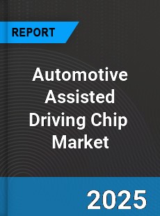 Global Automotive Assisted Driving Chip Industry